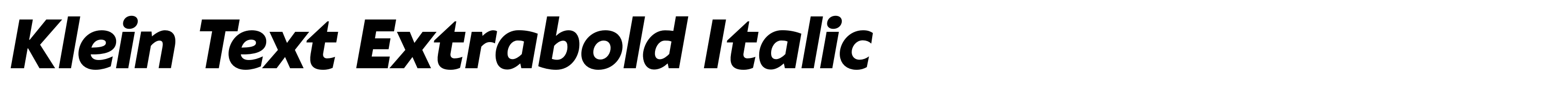 Klein Text Extrabold Italic